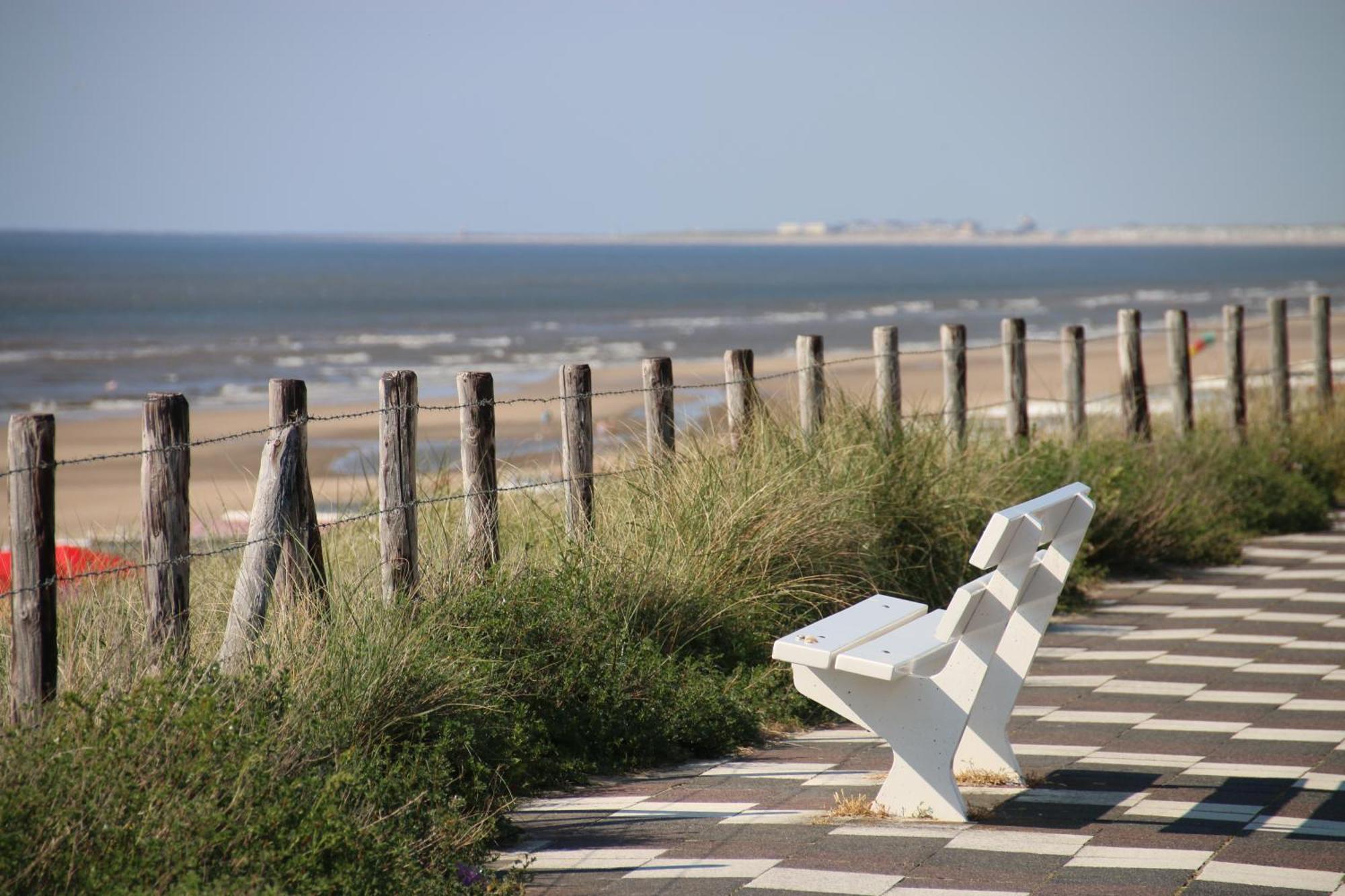 B&B Little Miss Sunshine Zandvoort Exterior photo